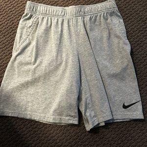 Nike Dri-Fit Shorts (Medium)